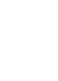 CSS-icon